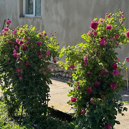 Baqari Inn Казбеги Екстериор снимка